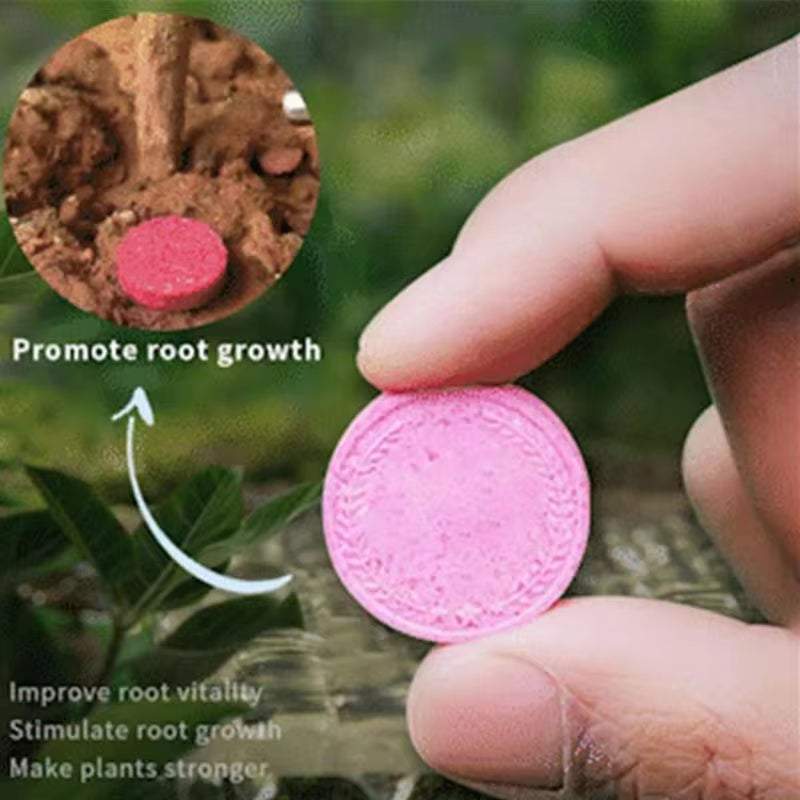22Pcs Gardening Universal Slow-Release Tablet Organic Fertilizer Plant Flowers Nitrogen Phosphorus Potassium Slow Release Agent